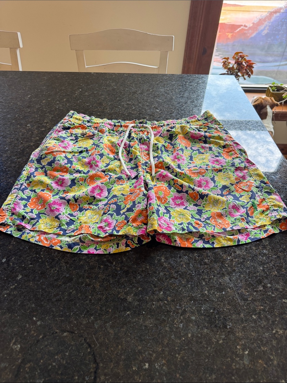 Polo by Ralph Lauren - Neon/Navy Base - Floral Swim Trunks